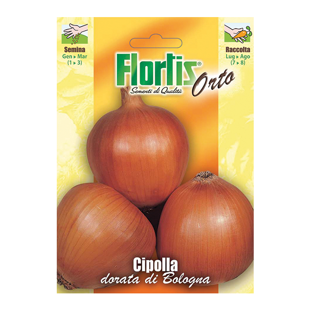 CIPOLLA dorata di Bologna