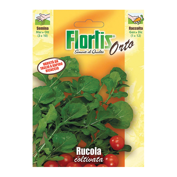 RUCOLA coltivata
