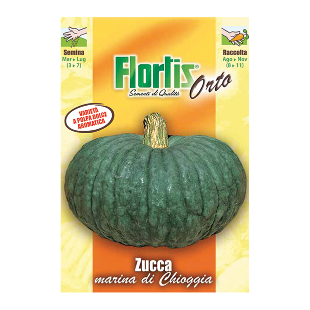 ZUCCA marina di Chioggia