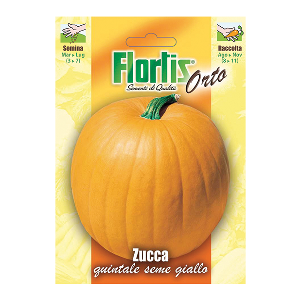 ZUCCA quintale