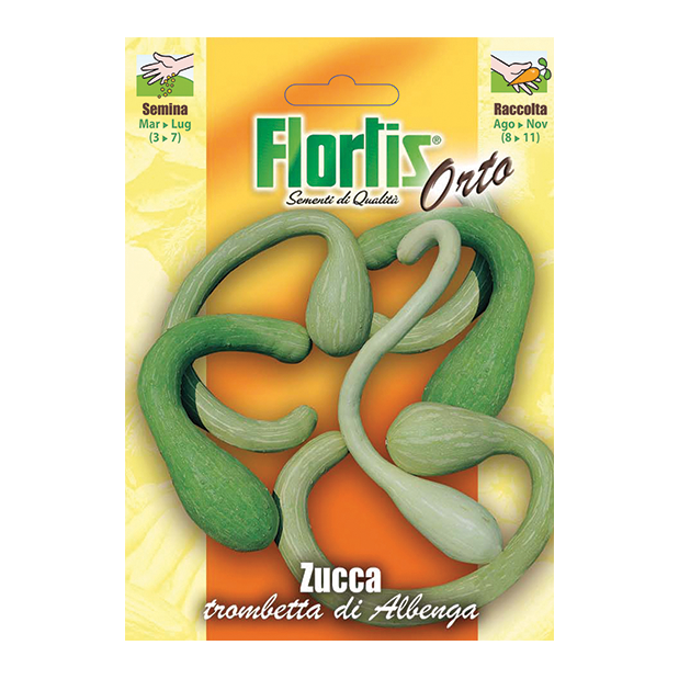 ZUCCA trombetta d'Albenga