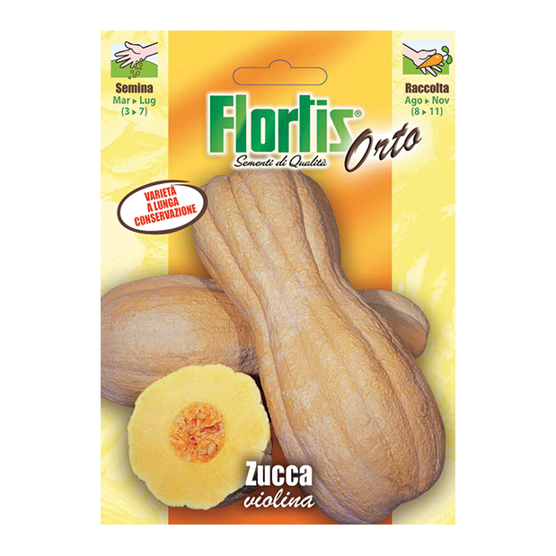ZUCCA violina