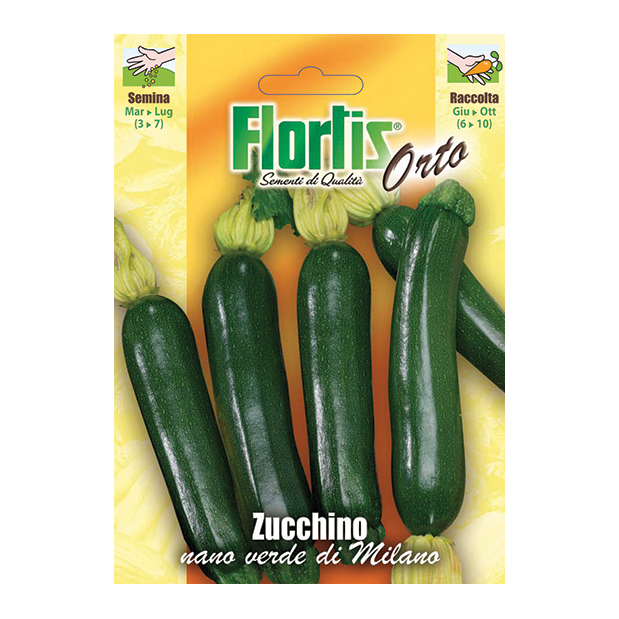 ZUCCHINO nano verde di Milano