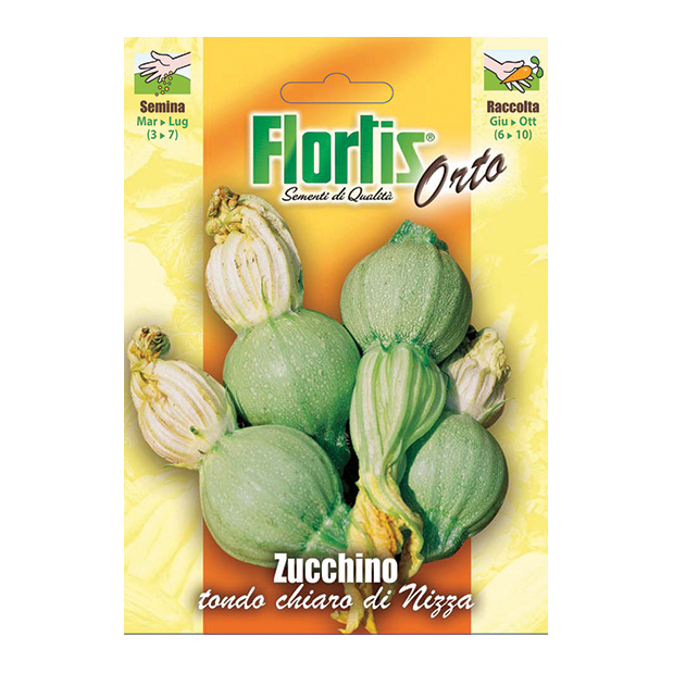 ZUCCHINO tondo chiaro di Nizza