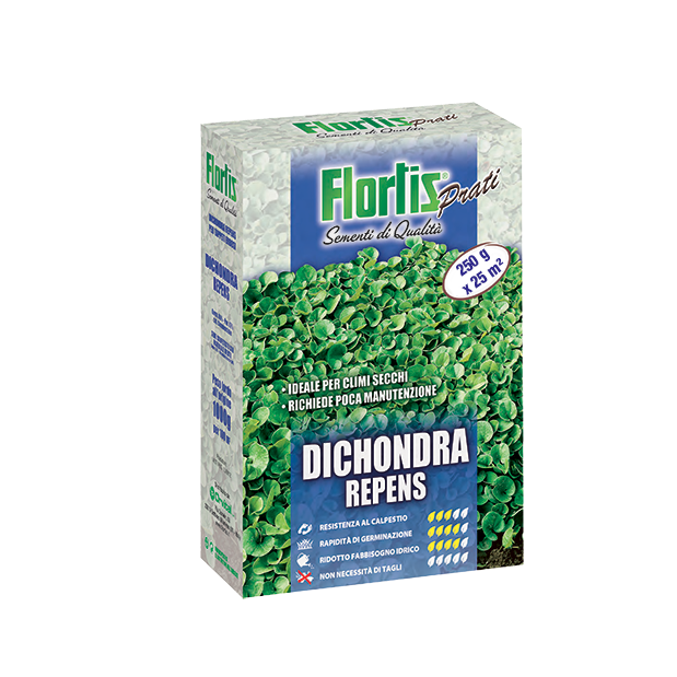 dichondra seme prato 250 g