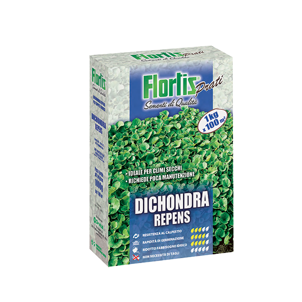 dichondra seme prato 1 kg
