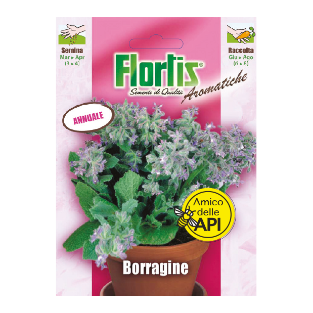 BORRAGINE