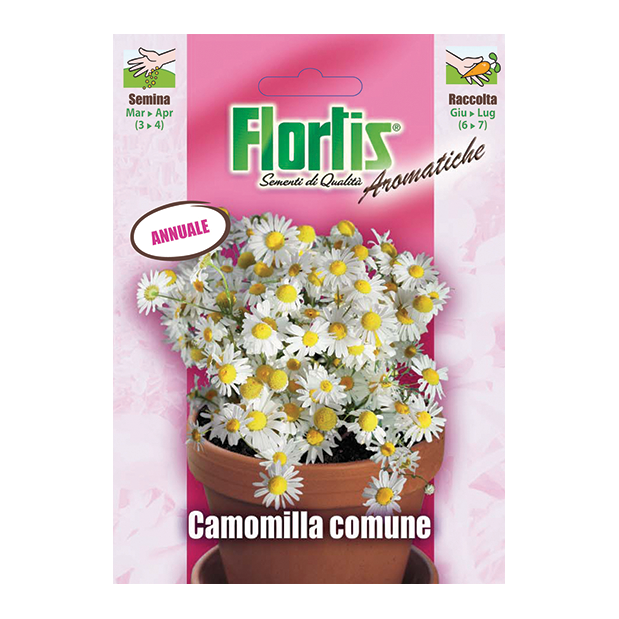 CAMOMILLA COMUNE