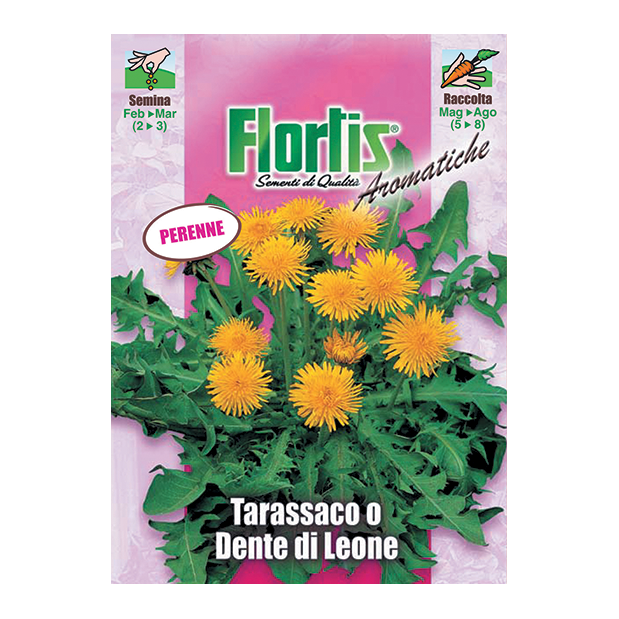 TARASSACO O DENTE DI LEONE