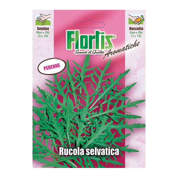 RUCOLA SELVATICA