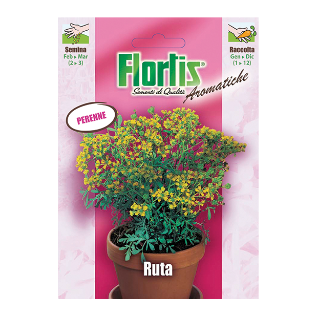 RUTA