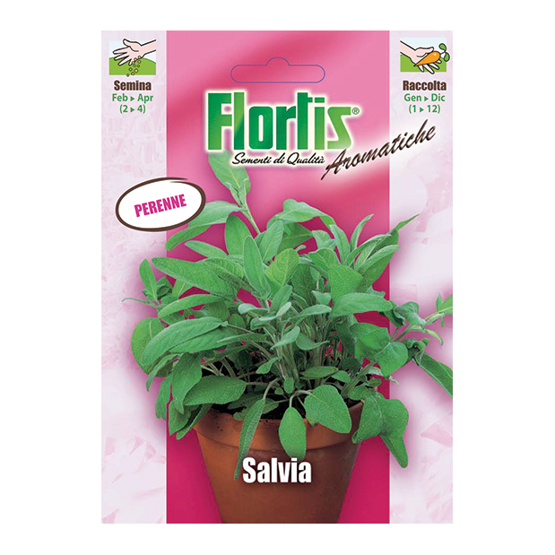 SALVIA