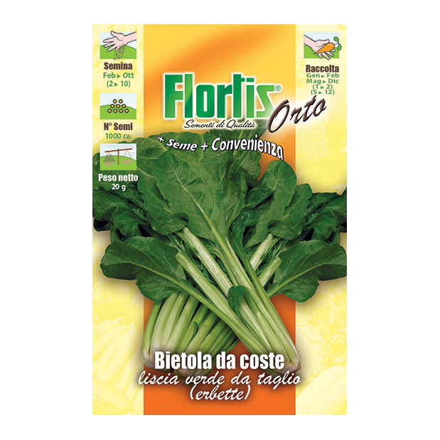 BIETOLA VERDE DA TAGLIO O ERBETTE