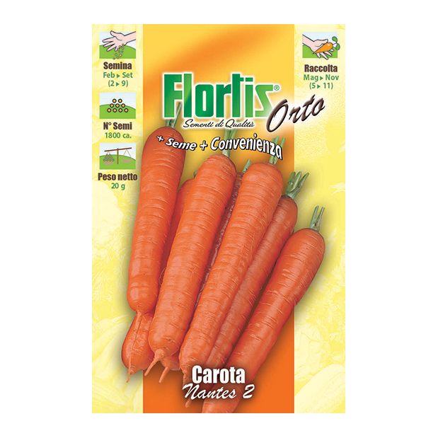 CAROTA NANTES PRECOCE