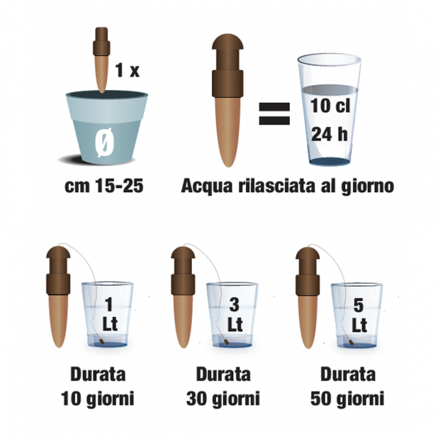 disseta piante terracotta