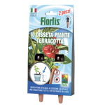 disseta piante terracotta