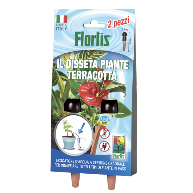 disseta piante terracotta