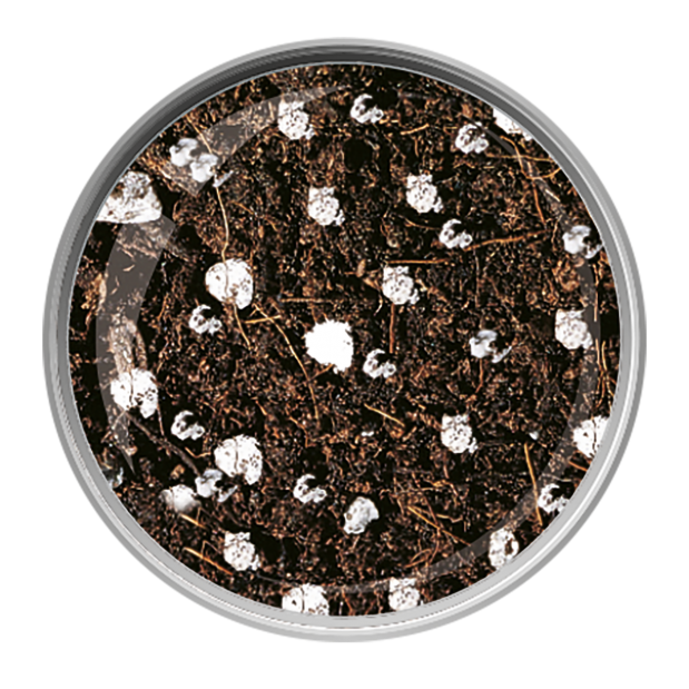 TERRICCIO UNIVERSALE PEAT-FREE 20 LITRI