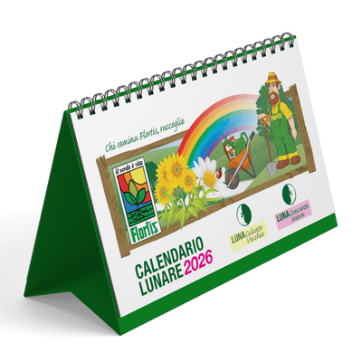 Calendario Lunare 2026 (528 KB)
