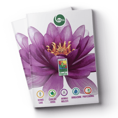 Catalogo Generale (129 MB)