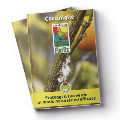 Leaflet Cocciniglie (910 KB)