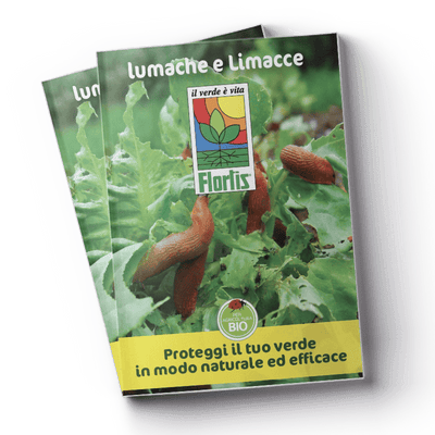 Leaflet Lumache (20 MB)