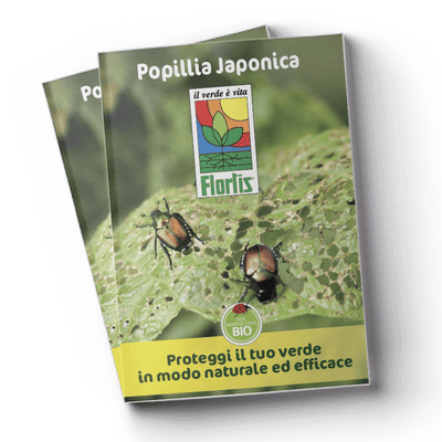 Leaflet Popillie (12 MB)