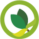 CURA DEL VERDE